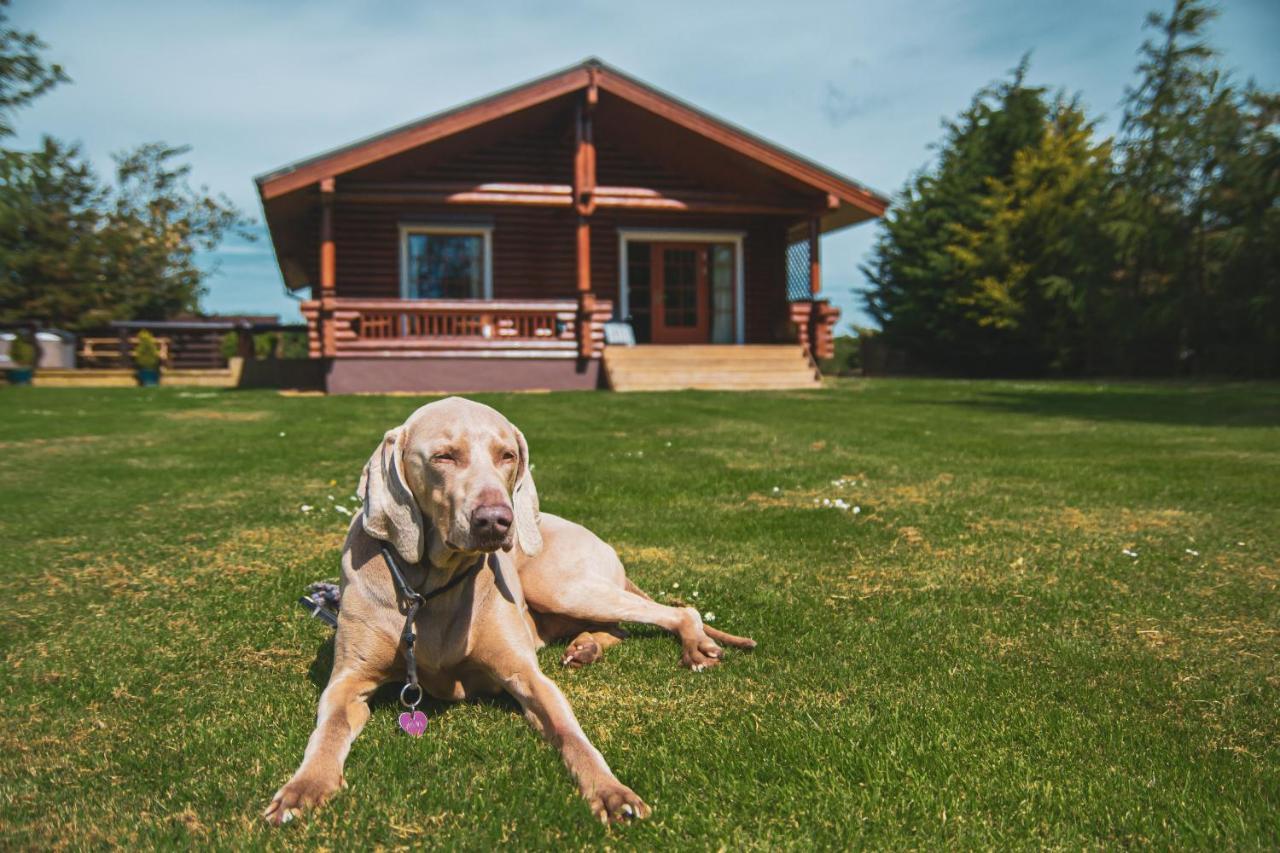 Tomatin - Luxury Two Bedroom Log Cabin With Hot Tub Бервик-апон-Твид Экстерьер фото